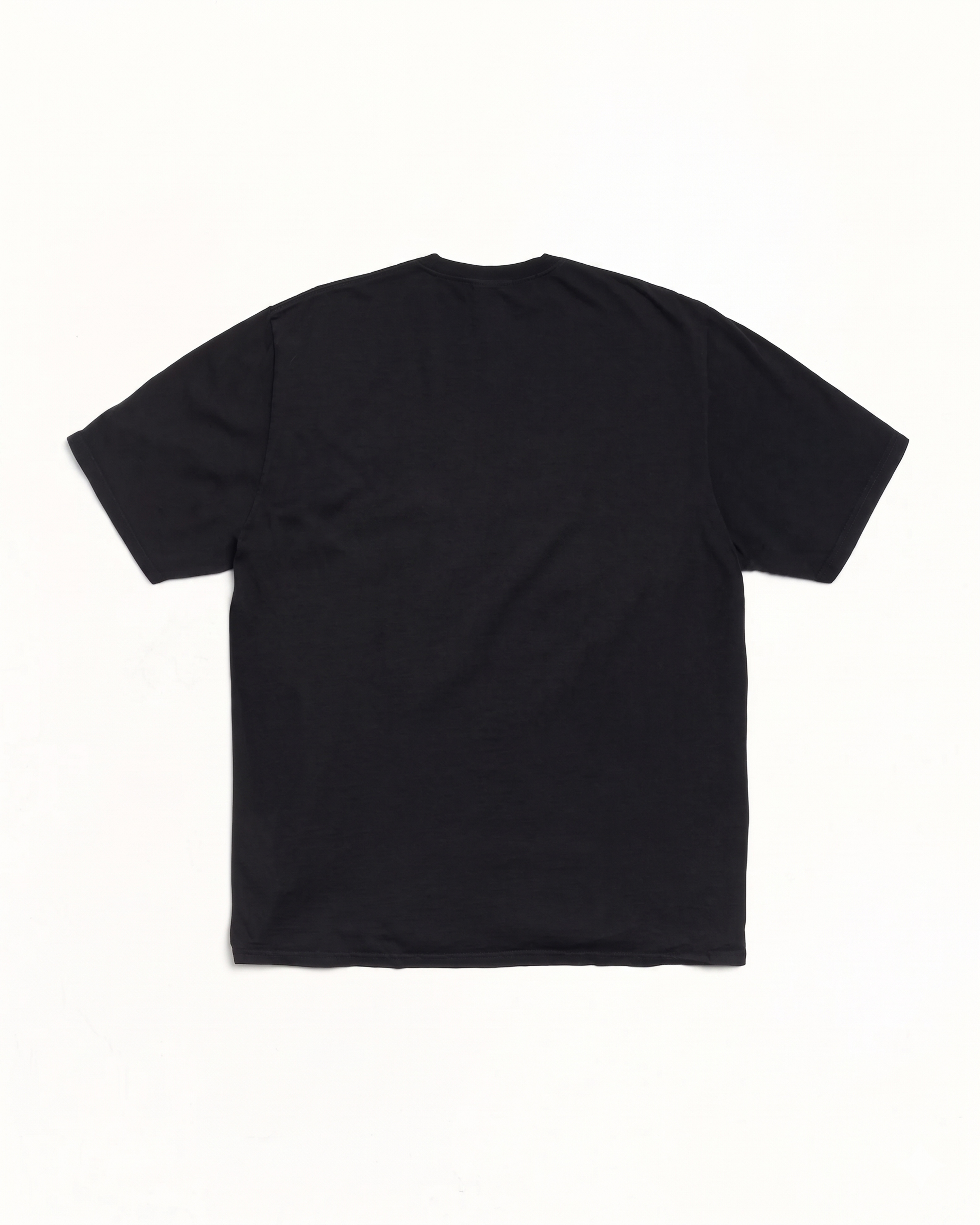 DEN "Equestrian" Heavyweight Tee